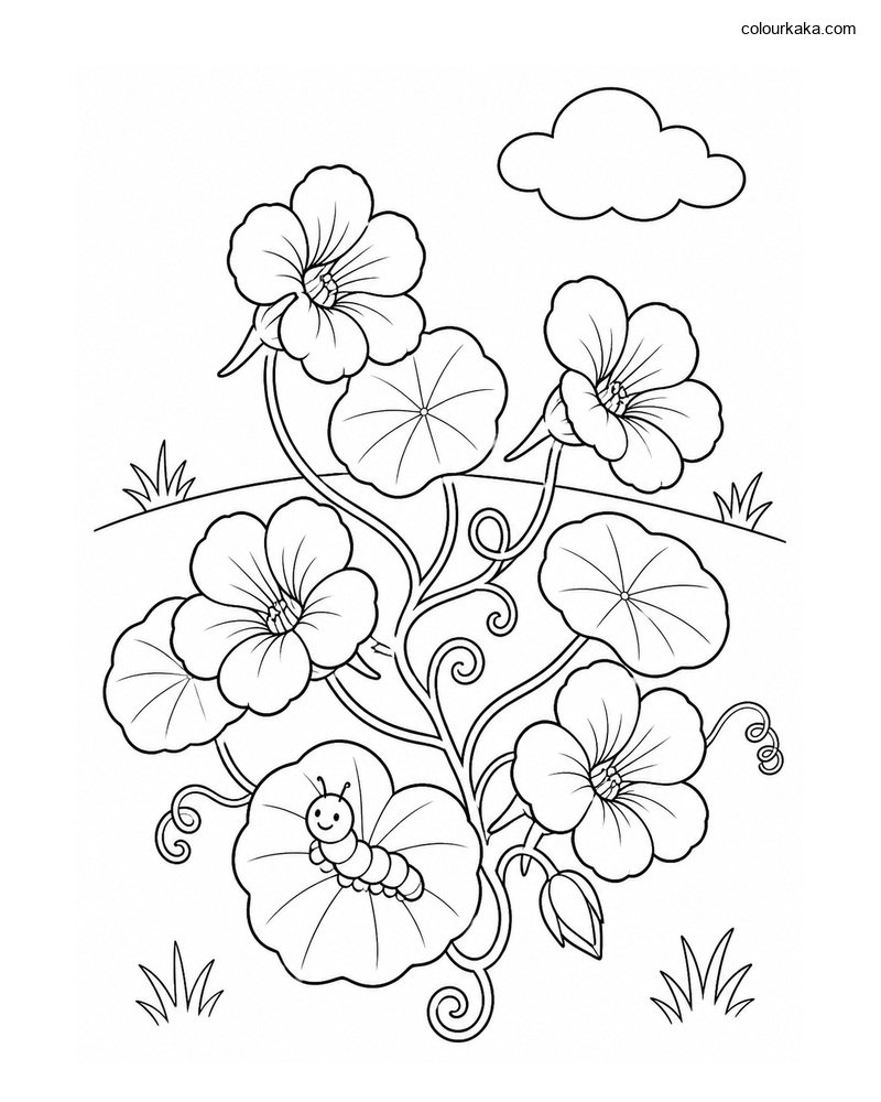Nasturtium Garden Colouring thumbnail