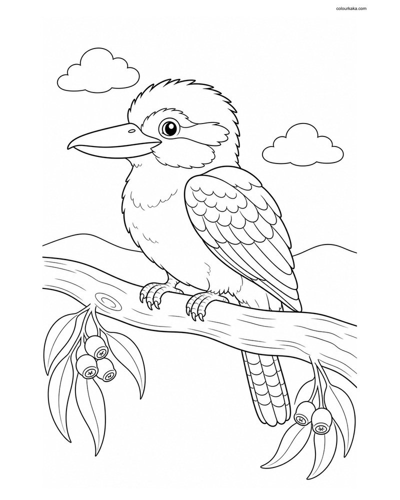 Kookaburra Bird Colouring Craft thumbnail
