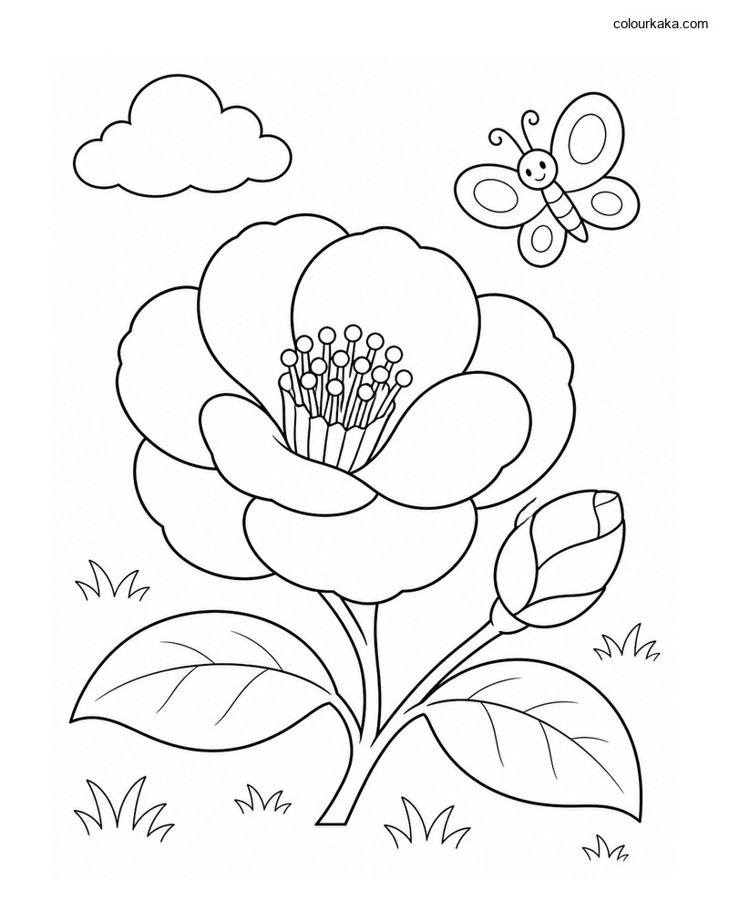Camellia Blossom Colouring thumbnail