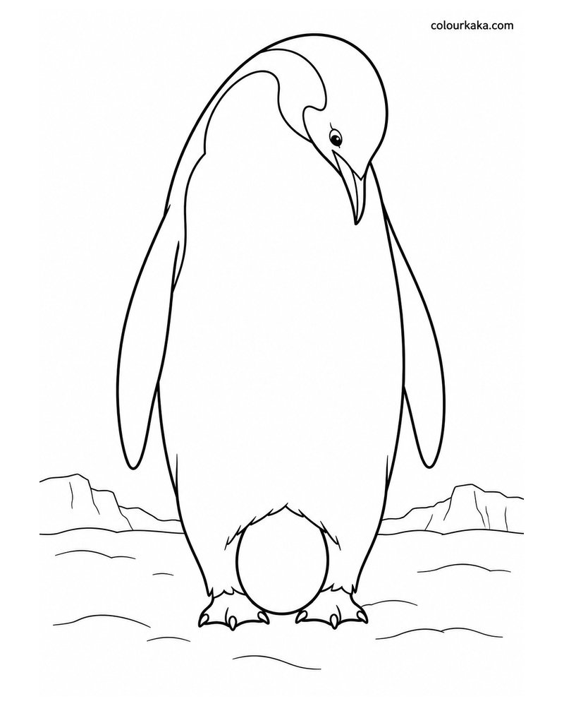 Father Penguin Carrying an Egg Colouring Page thumbnail
