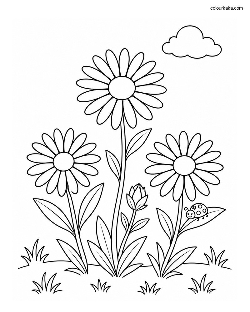 Aster Garden Colouring Sheet thumbnail