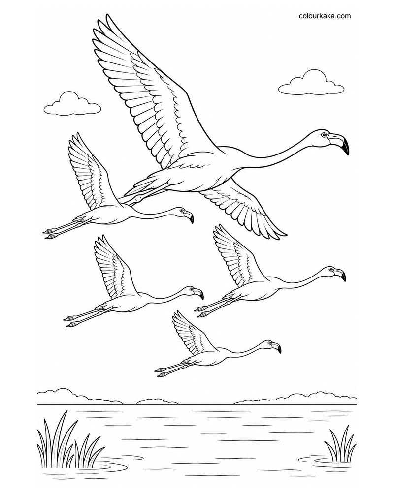 Flamingo Flying with Its Flock Colouring Page thumbnail