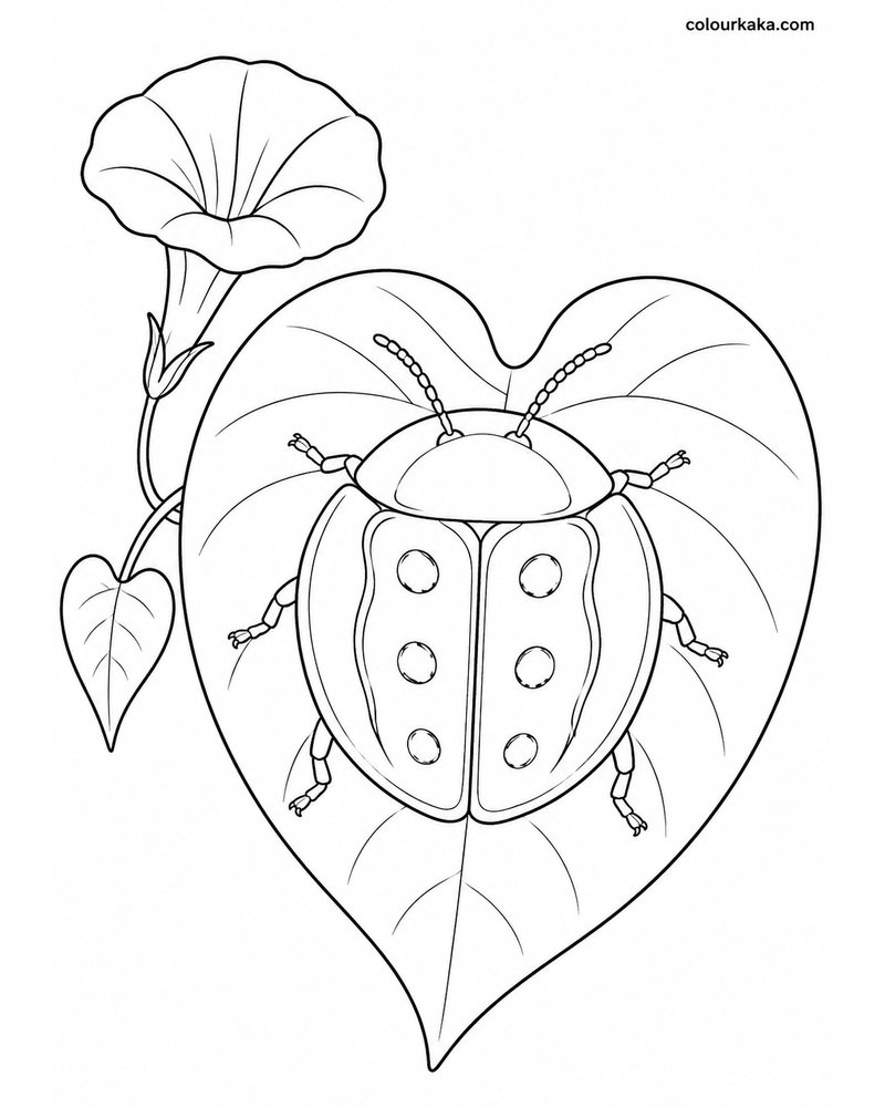 Golden Tortoise Beetle Colouring thumbnail