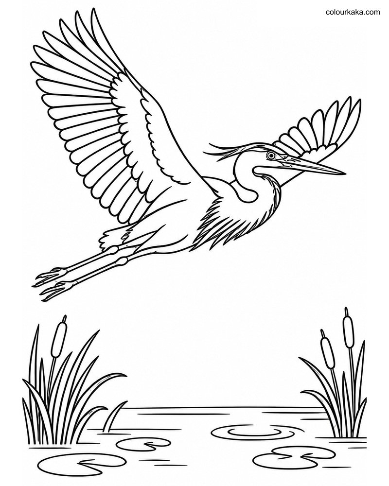 Flying Heron Wetland Colouring thumbnail