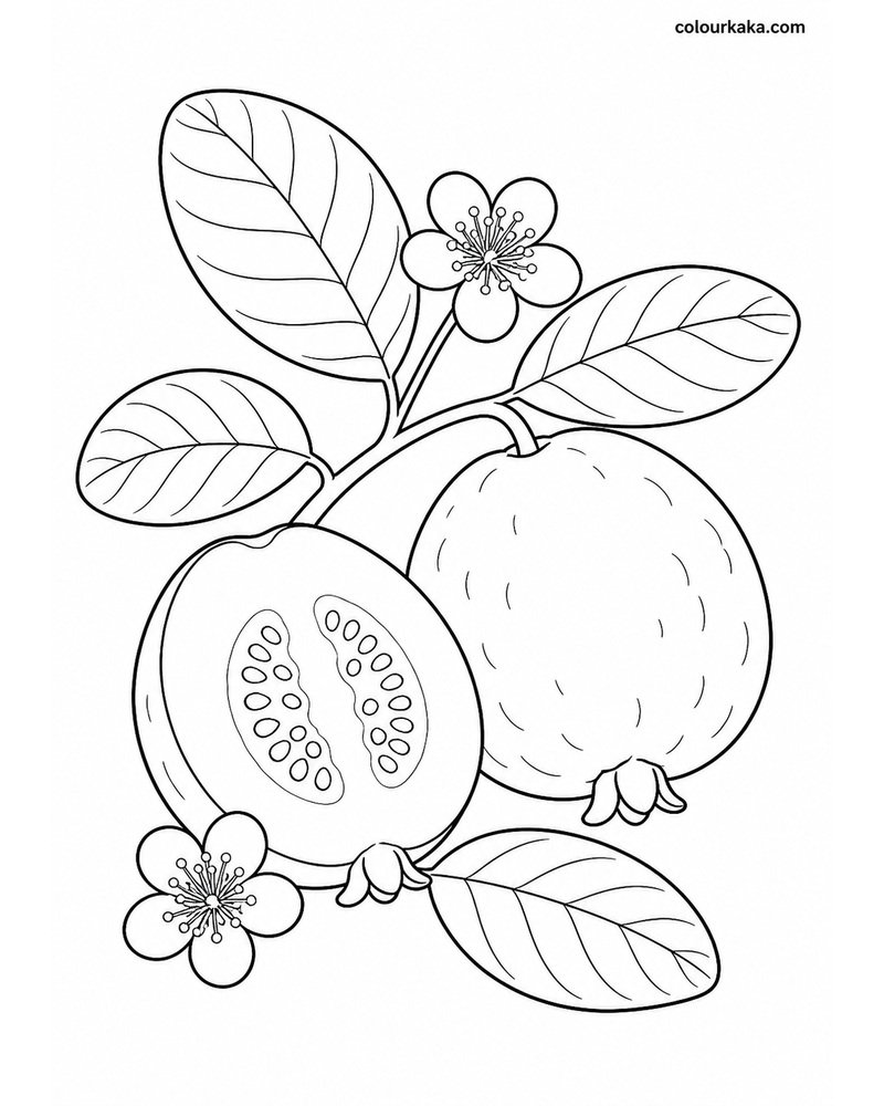 Guava Garden Colouring Page thumbnail