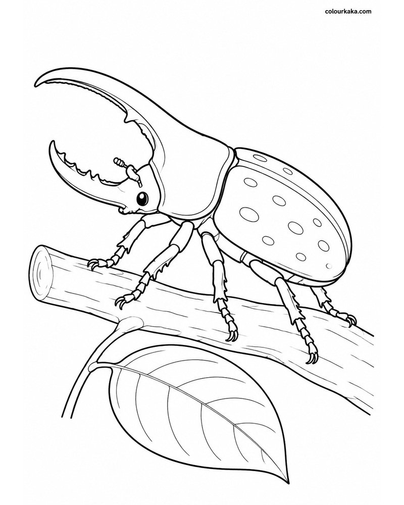 Hercules Beetle Colouring Page thumbnail