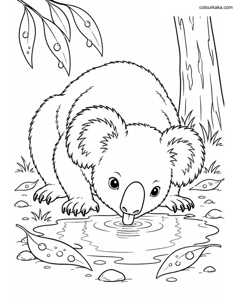 Koala After Rain Colouring thumbnail