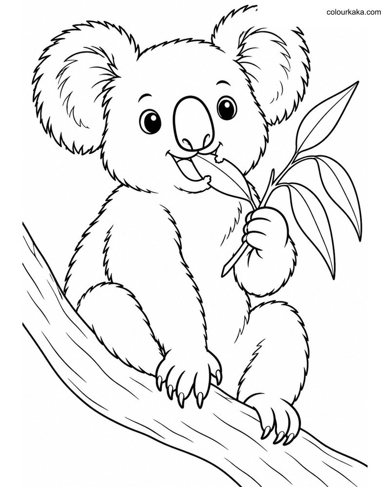 Koala Eating Leaves Colouring thumbnail