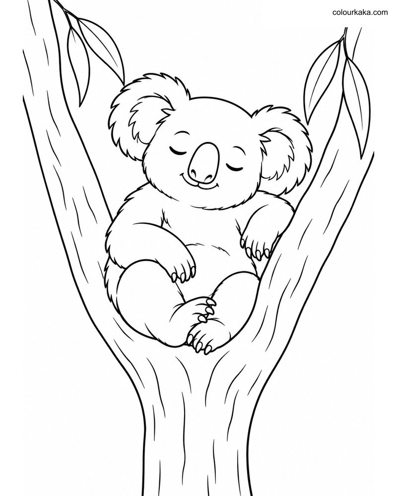 Resting Koala Colouring Page thumbnail