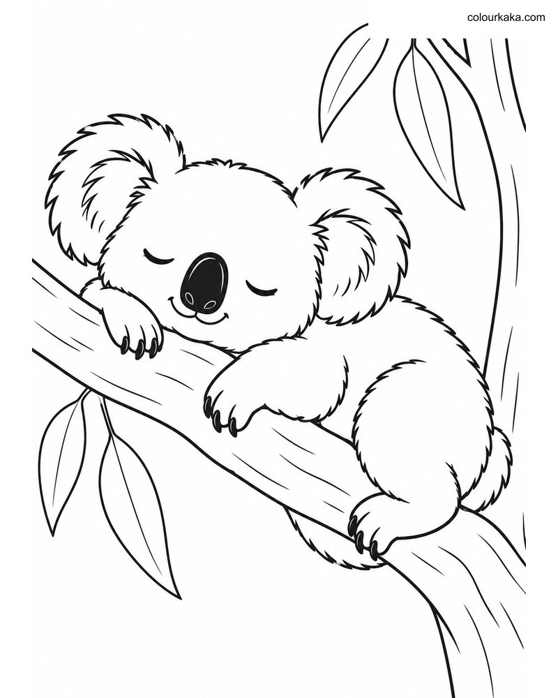 Sleeping Koala Colouring Page thumbnail