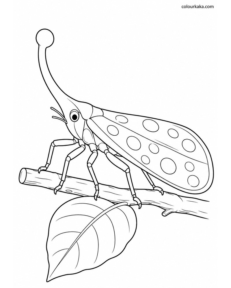Lanternfly Tropical Colouring thumbnail