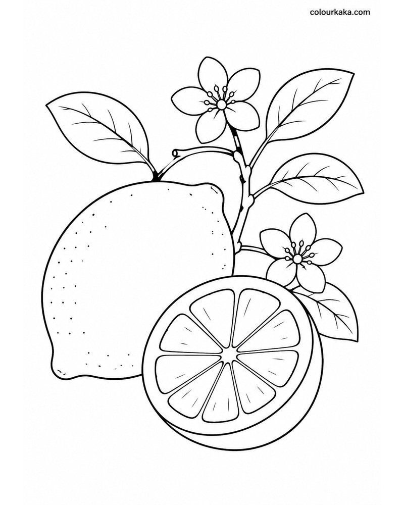 Lemon Blossom Colouring Page thumbnail