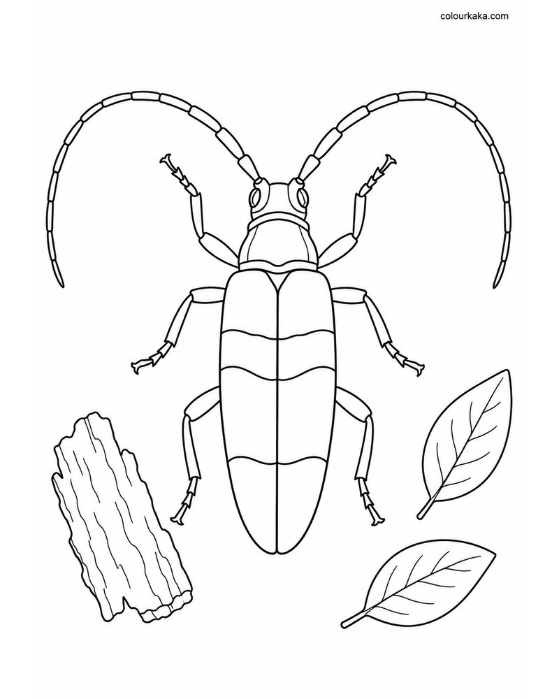 Longhorn Beetle Colouring Sheet thumbnail