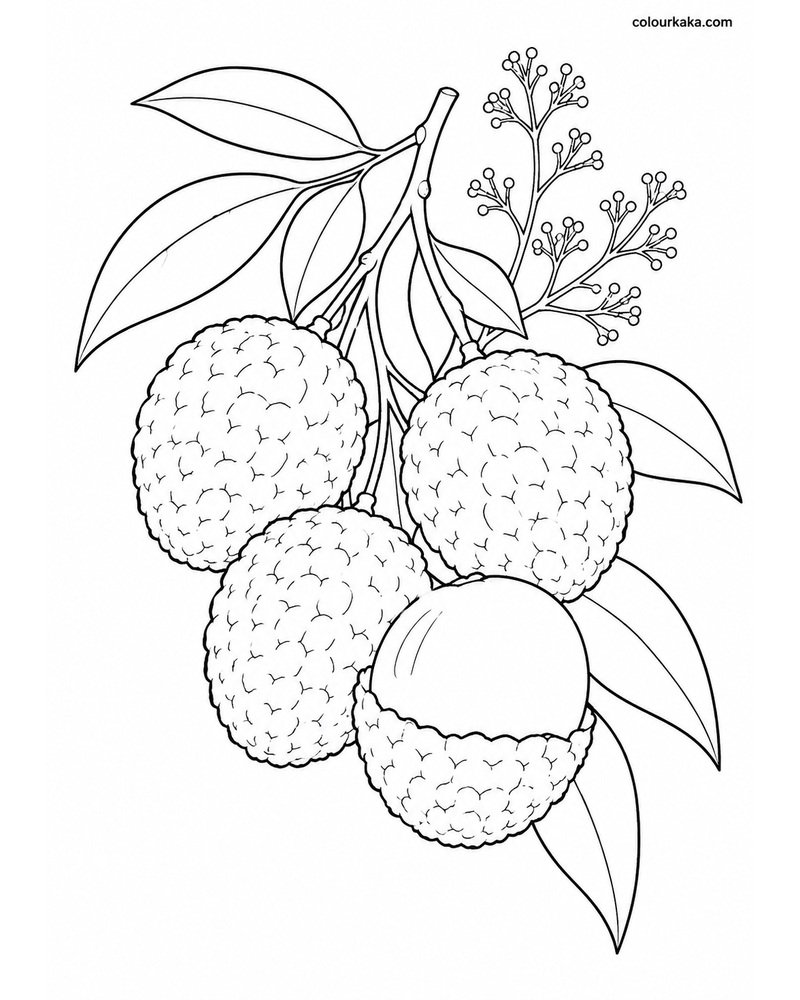 Lychee Bunch Colouring Page thumbnail
