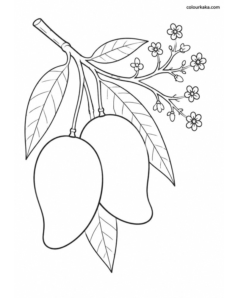 Mango Blossom Colouring Page thumbnail