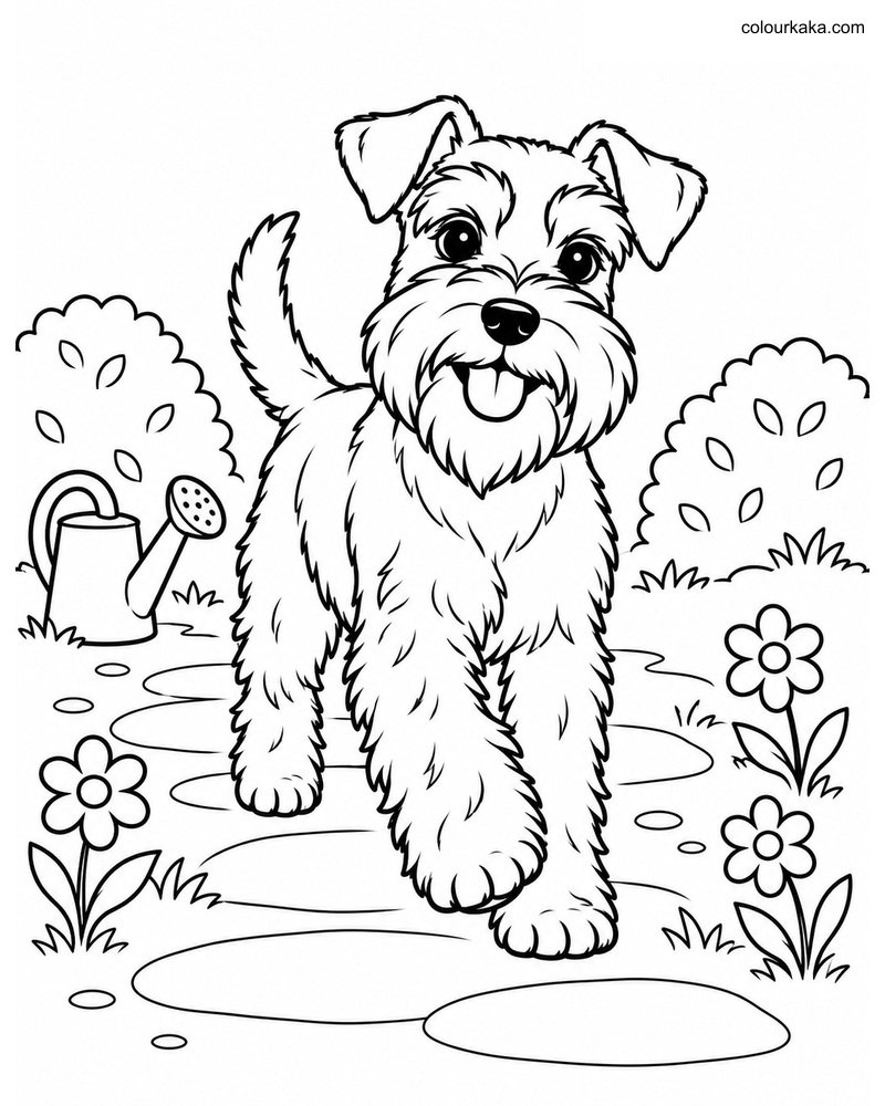Mini Schnauzer Colouring Page thumbnail