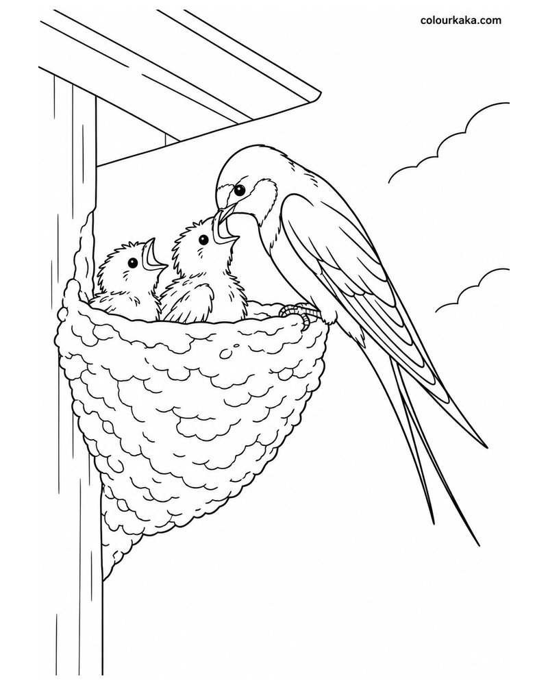 Mother Swallow Feeding Its Chicks Colouring Page thumbnail