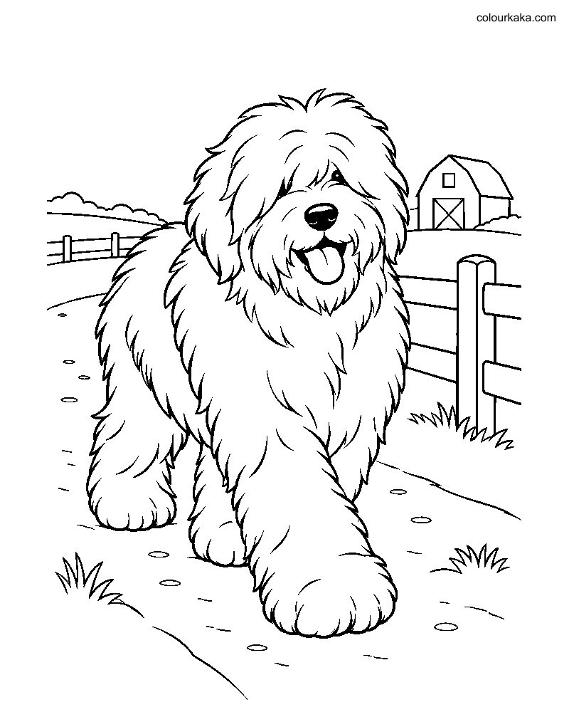 Old English Sheepdog Page thumbnail