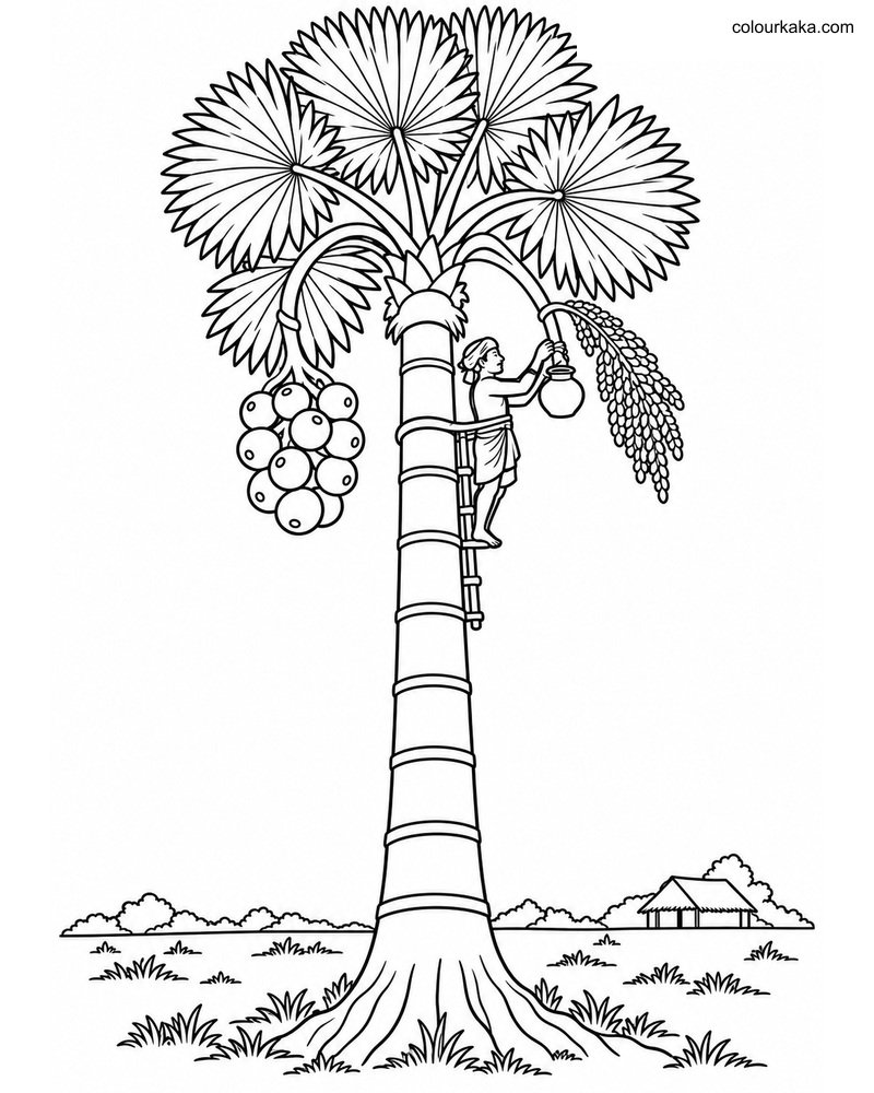 Palmyra Palm Toddy Farmer Page thumbnail