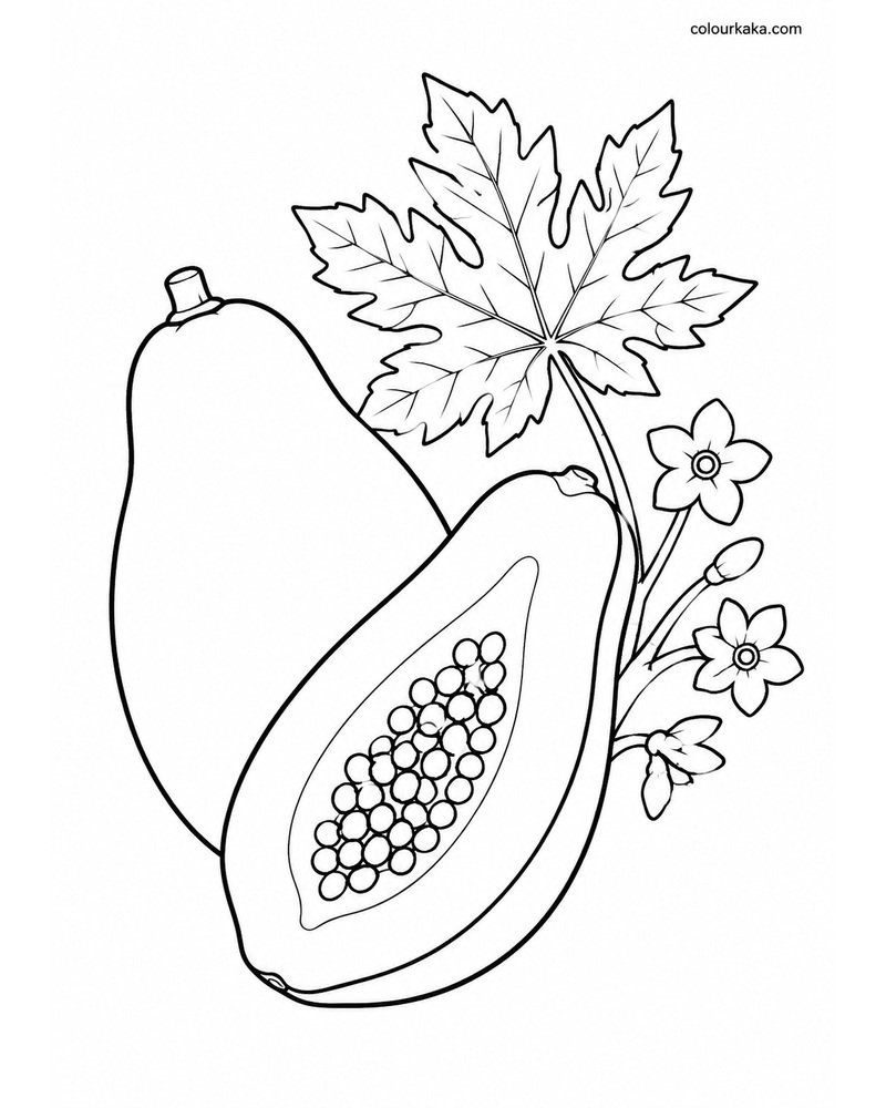 Papaya Tropical Colouring Page thumbnail