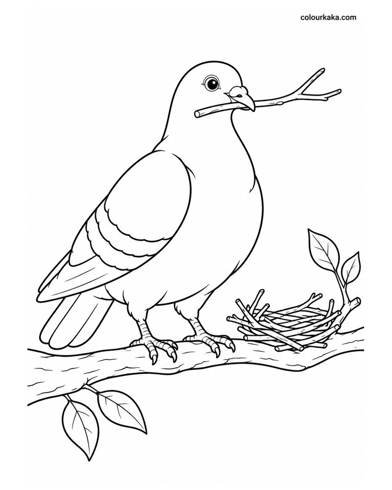 Pigeon Carrying a Twig for Nest Building Colouring Page thumbnail