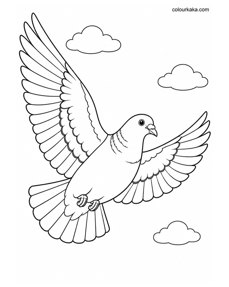 Pigeon Flying with Wings Spread Wide Colouring Page thumbnail