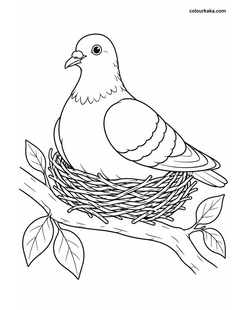 Pigeon Sitting in Its Nest Colouring Page thumbnail