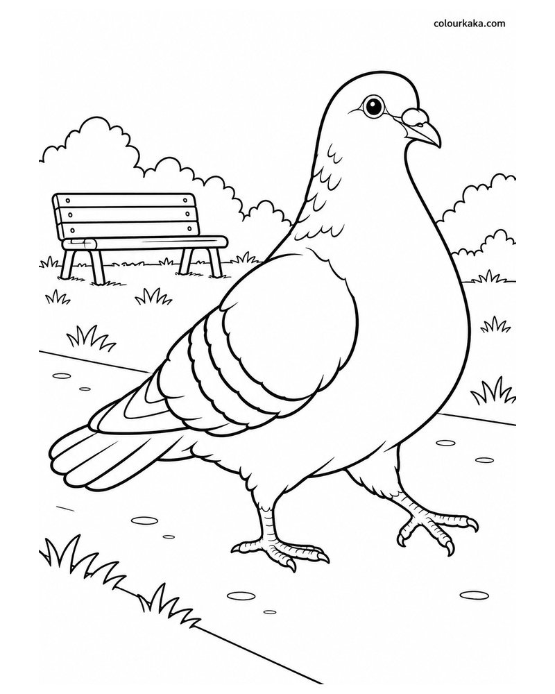 Pigeon Walking in a Park Colouring Page thumbnail