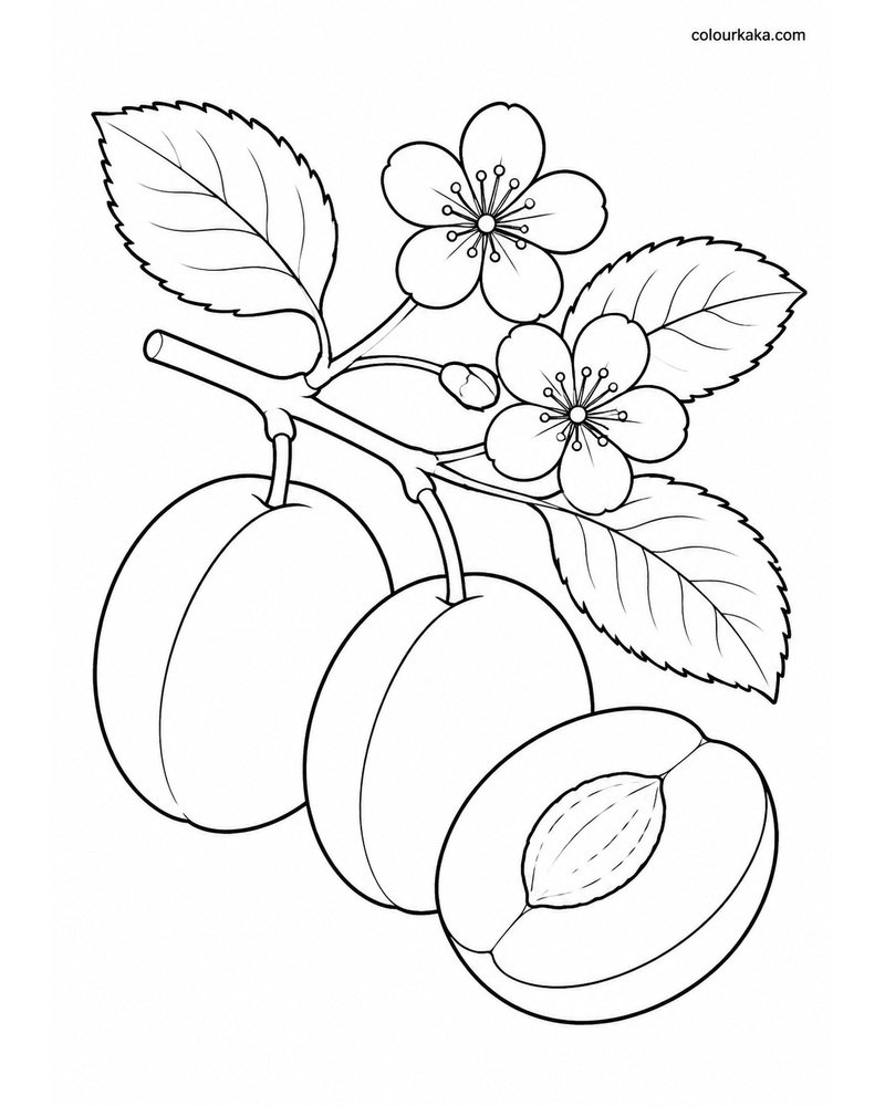 Plum Orchard Colouring Page thumbnail