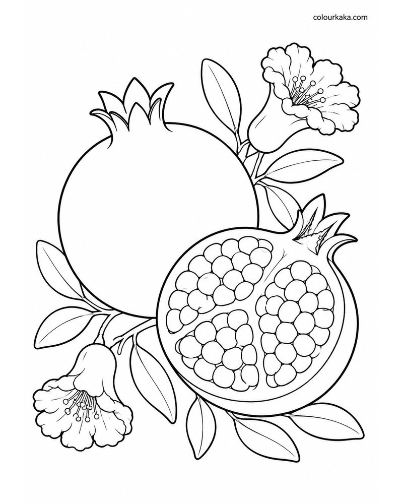 Pomegranate Colouring Page thumbnail