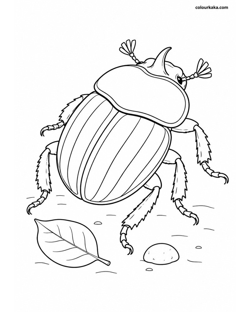 Rainbow Scarab Beetle Colouring thumbnail