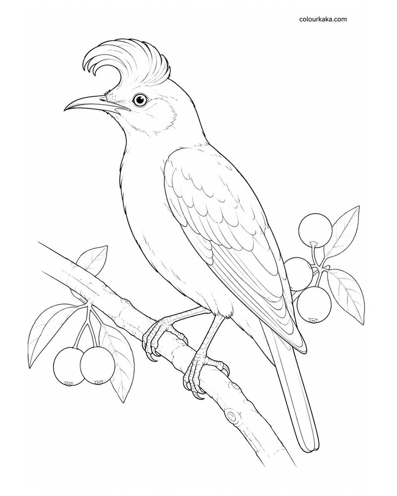Réunion Starling Colouring Page thumbnail