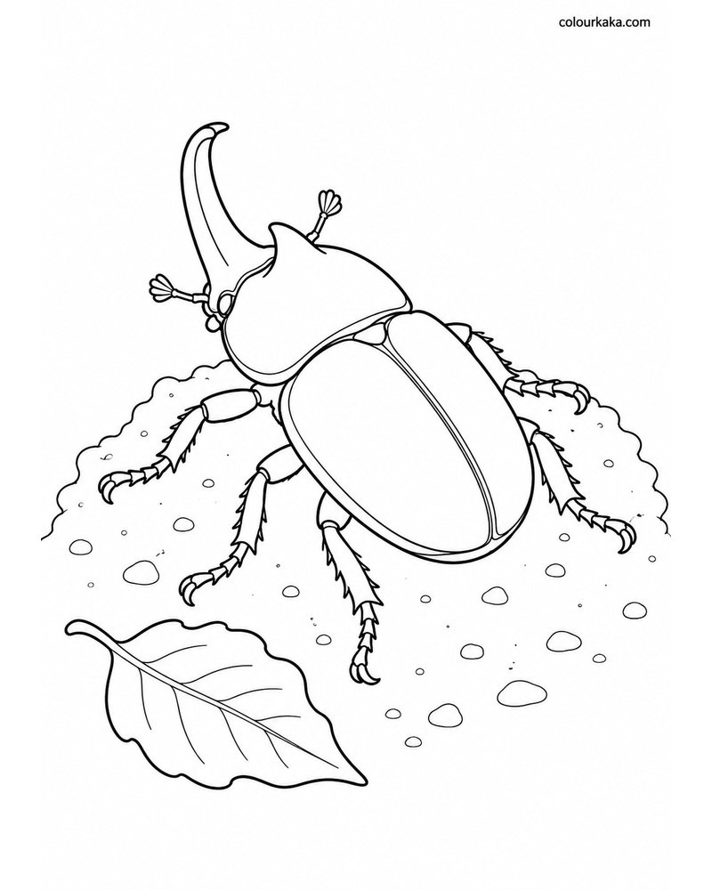 Rhinoceros Beetle Colouring thumbnail