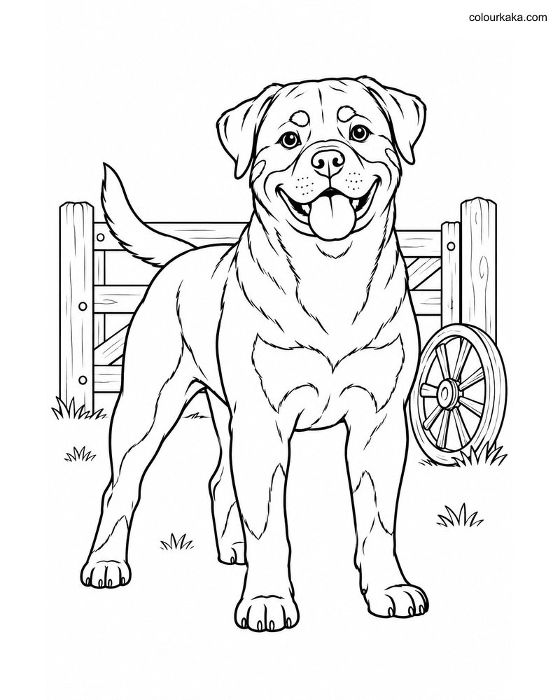 Rottweiler Dog Colouring Page thumbnail