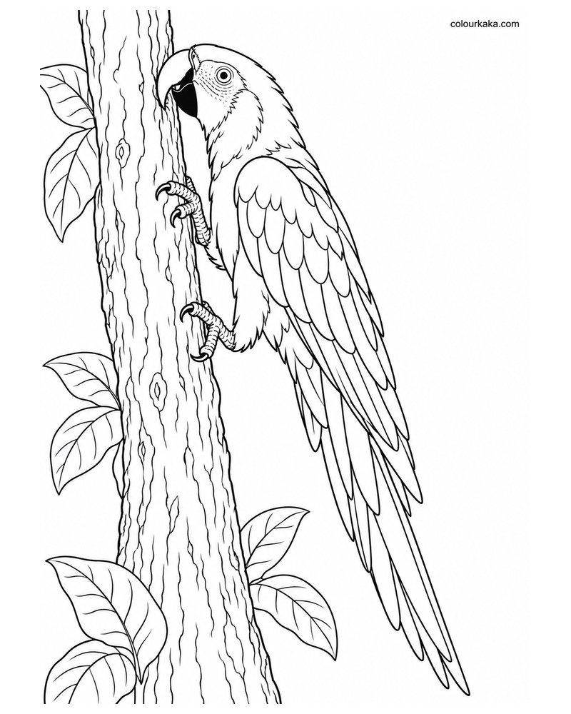 Scarlet Macaw Climbing a Tree with Its Beak and Feet Colouring Page thumbnail