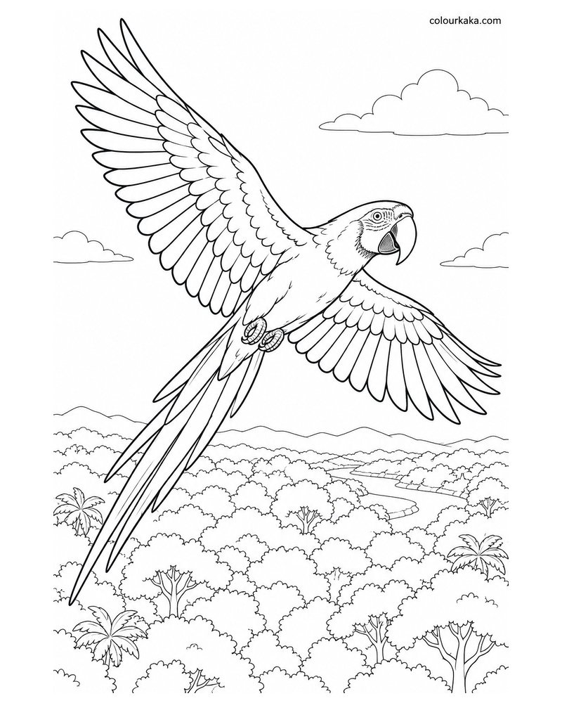 Scarlet Macaw Flying Over the Rainforest Colouring Page thumbnail