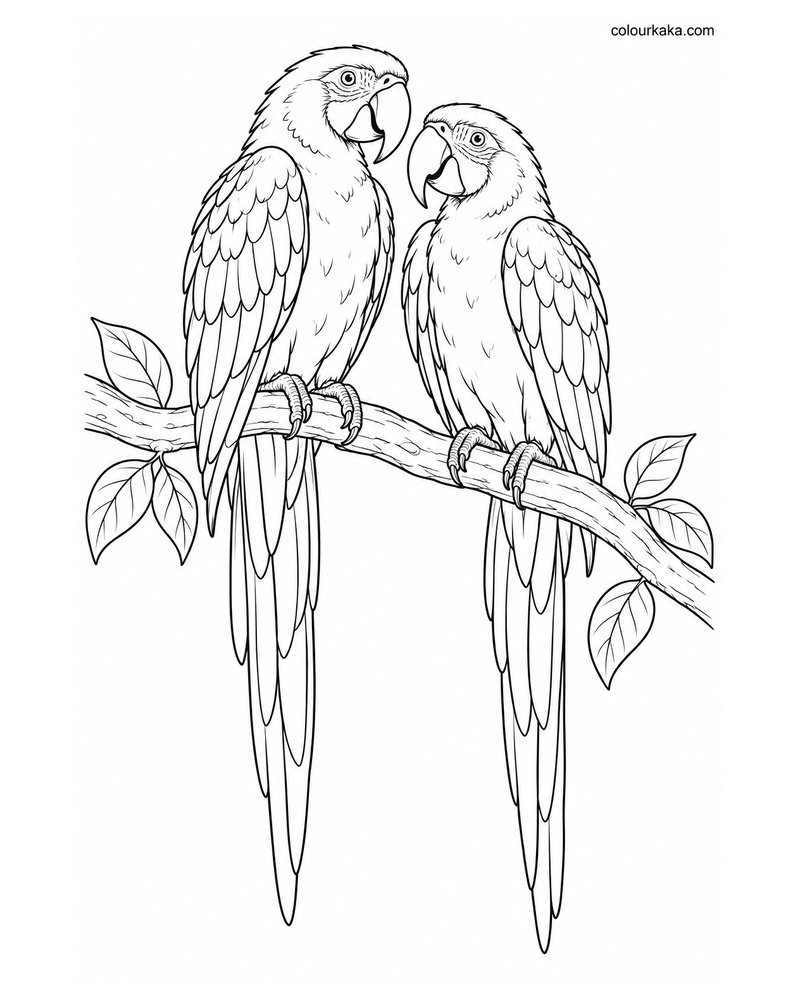 Scarlet Macaw Pair Sitting Together on a Branch Colouring Page thumbnail