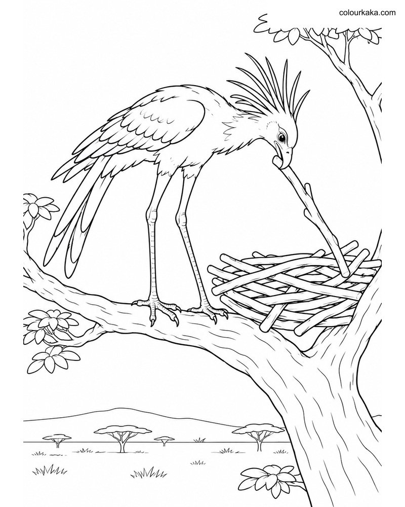 Secretary Bird Nest Building thumbnail
