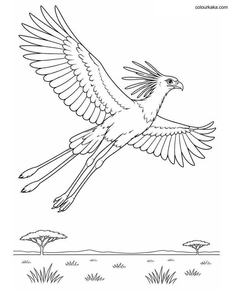 Flying Secretary Bird Page thumbnail