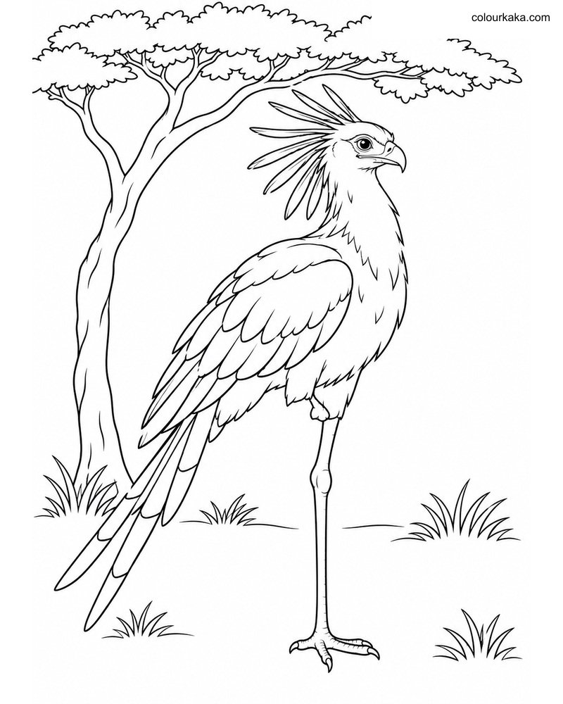 Resting Secretary Bird Page thumbnail
