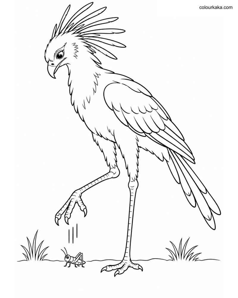 Secretary Bird Stomping Page thumbnail