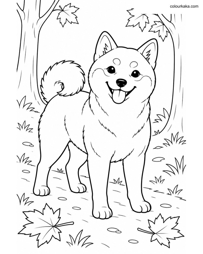 Shiba Inu Colouring Sheet thumbnail