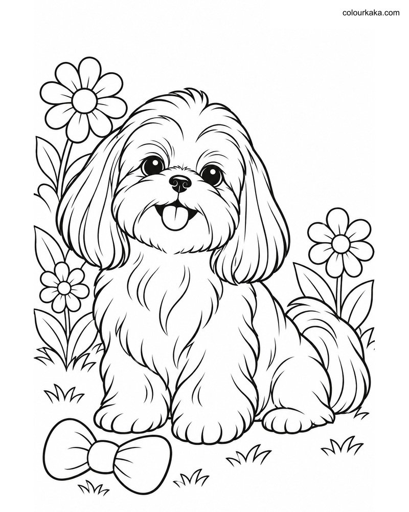 Shih Tzu Puppy Colouring Page thumbnail