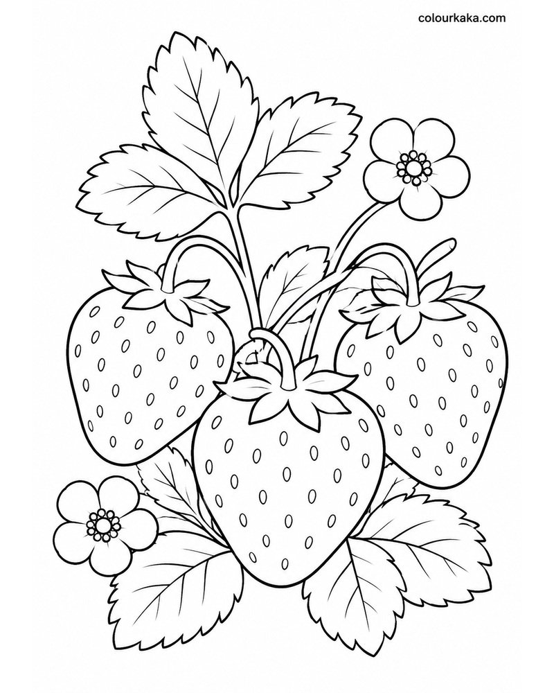 Strawberry Garden Colouring thumbnail