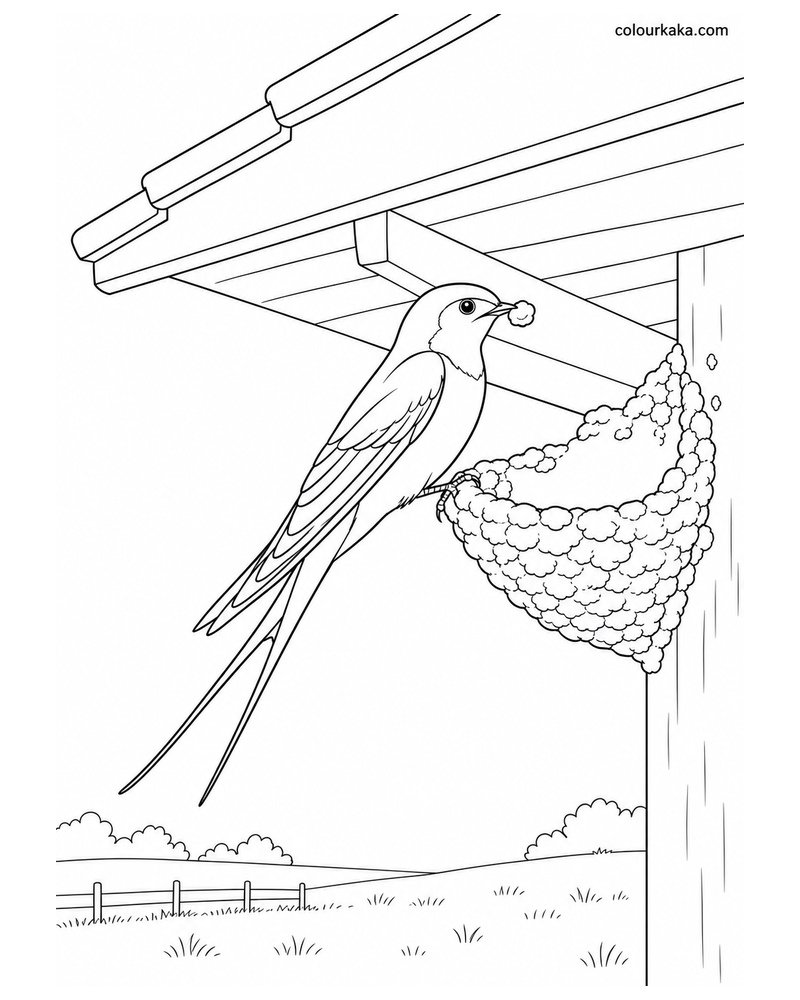 Swallow Building a Mud Nest Colouring Page thumbnail