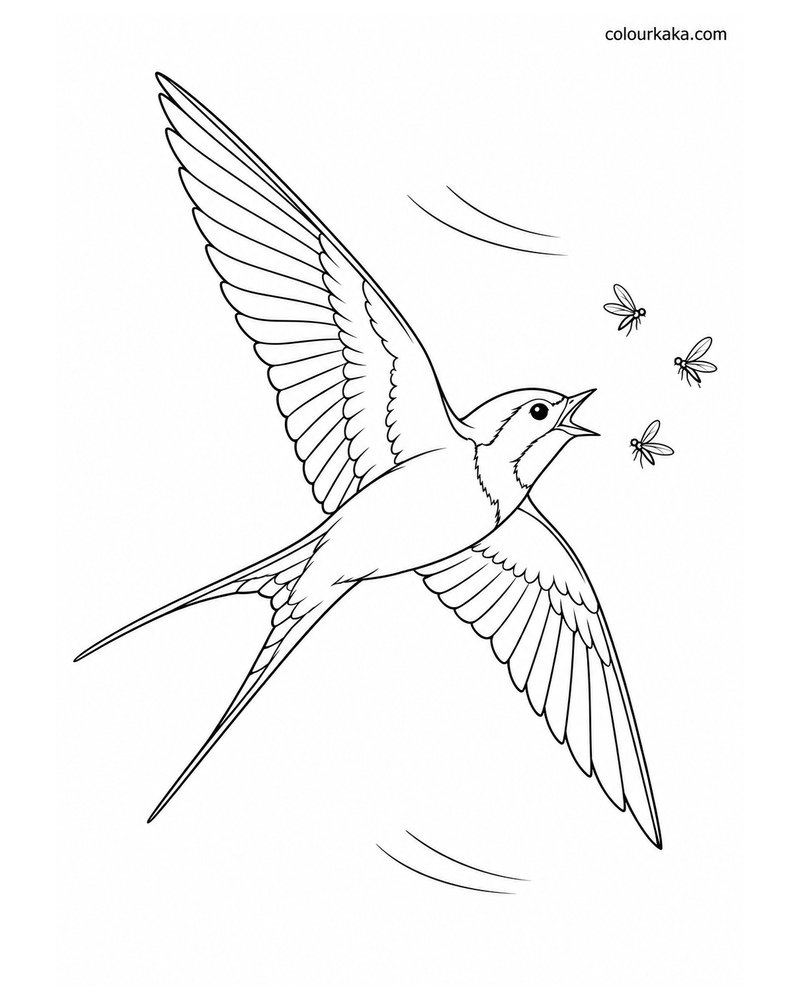 Swallow Catching Insects in the Air Colouring Page thumbnail