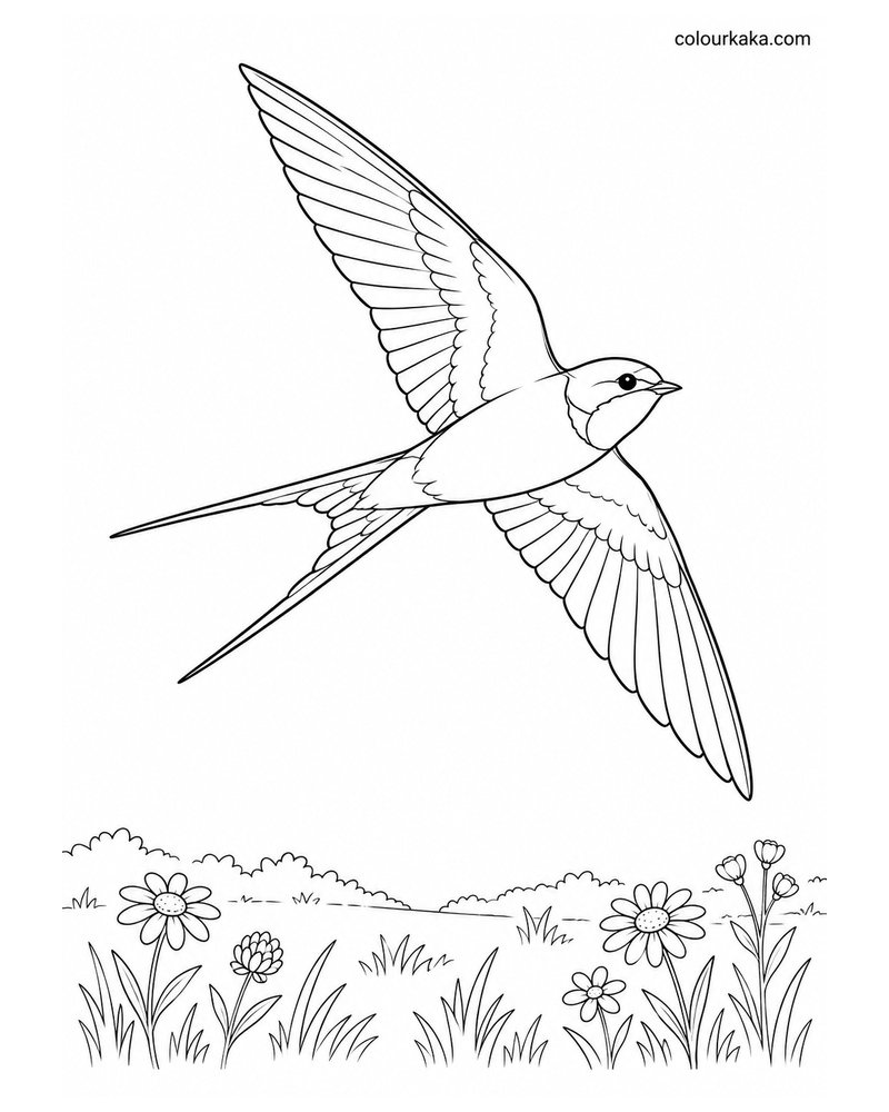 Swallow Flying Over a Meadow Colouring Page thumbnail