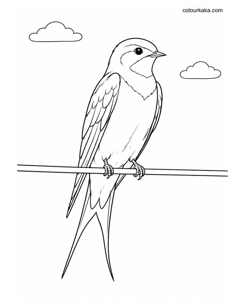 Swallow Resting on a Wire Colouring Page thumbnail