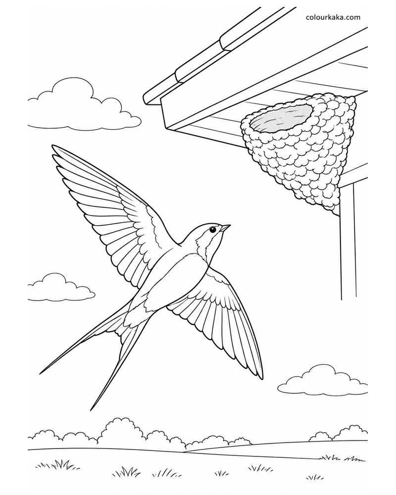 Swallow Returning to Its Nest Colouring Page thumbnail