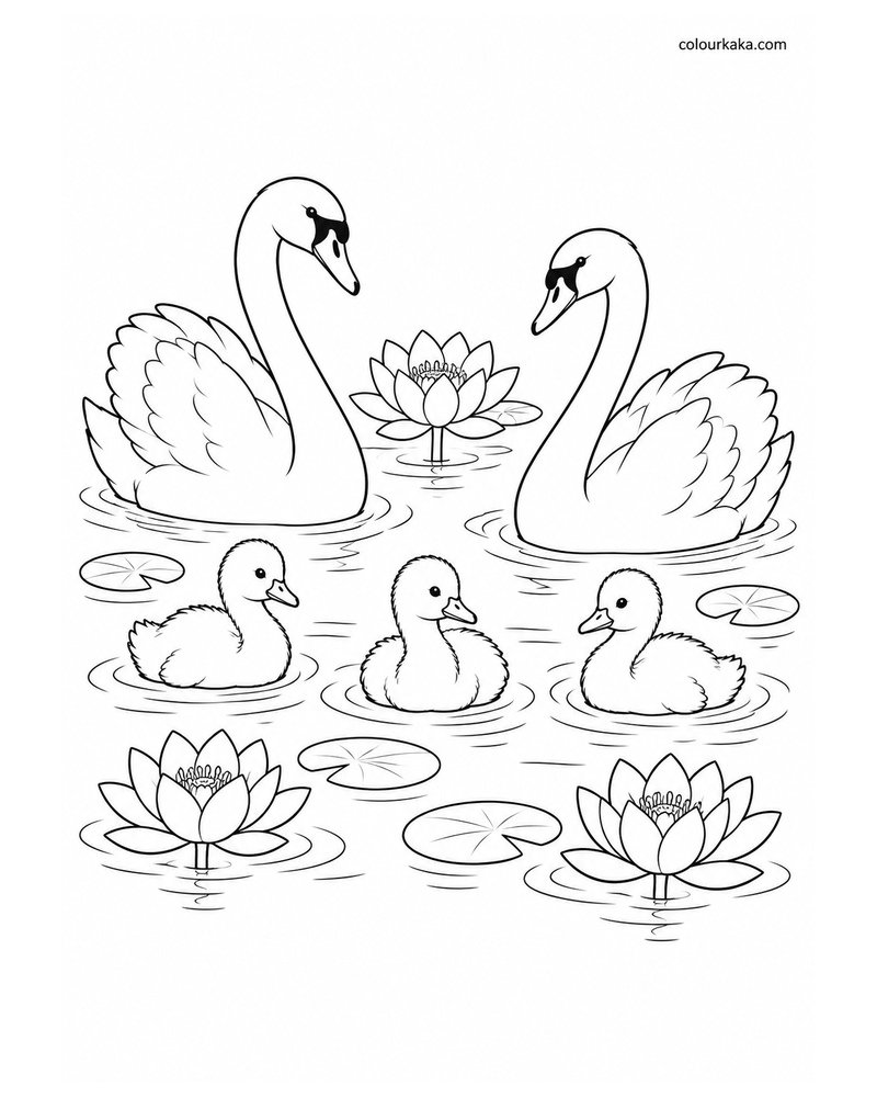Swan Family in a Lotus Pond thumbnail